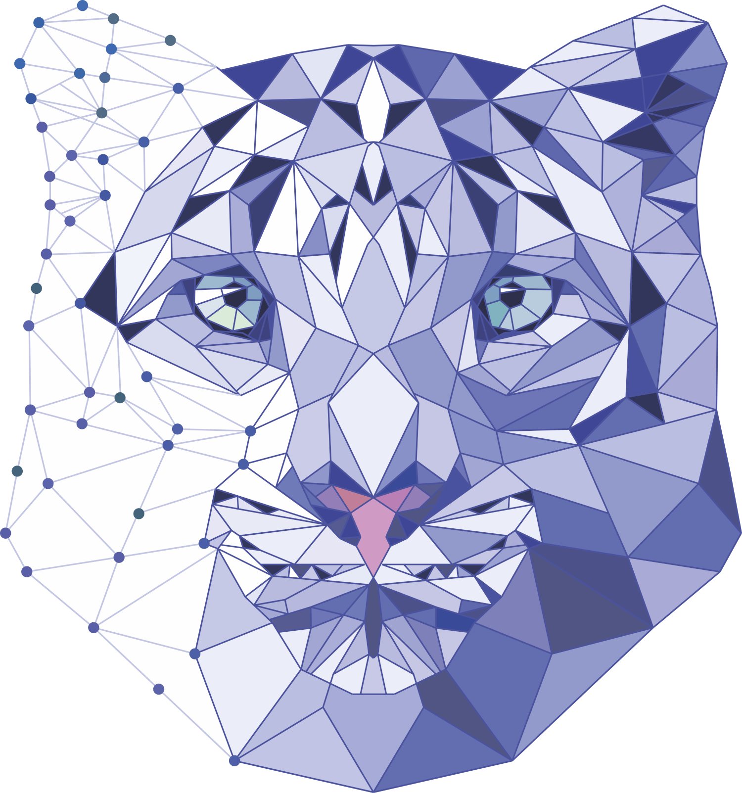 Irbis logo